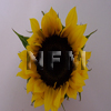 sunflowers wholesale